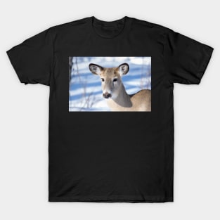 Young Deer with amazing eyes. T-Shirt